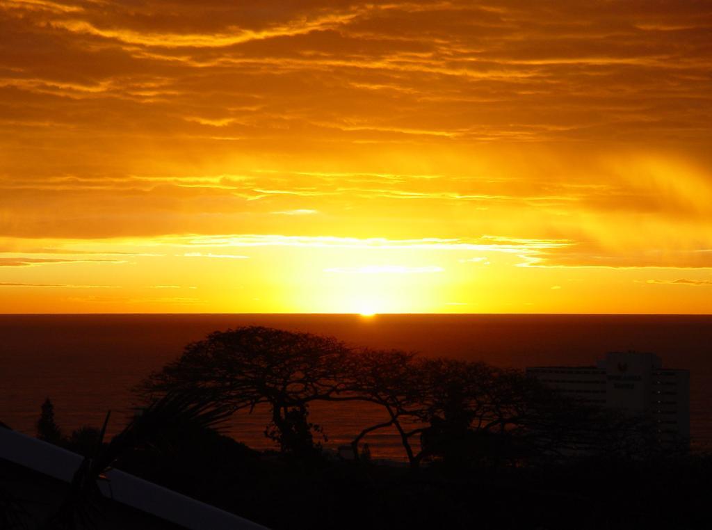 Umbrella Tree B&B Durban Buitenkant foto
