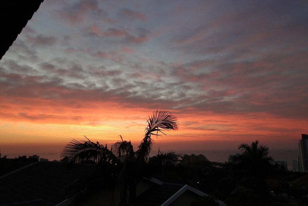 Umbrella Tree B&B Durban Buitenkant foto